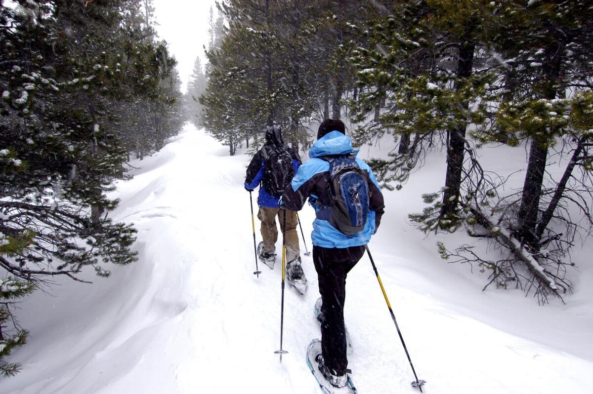 Snowshoeing at Sun Peaks