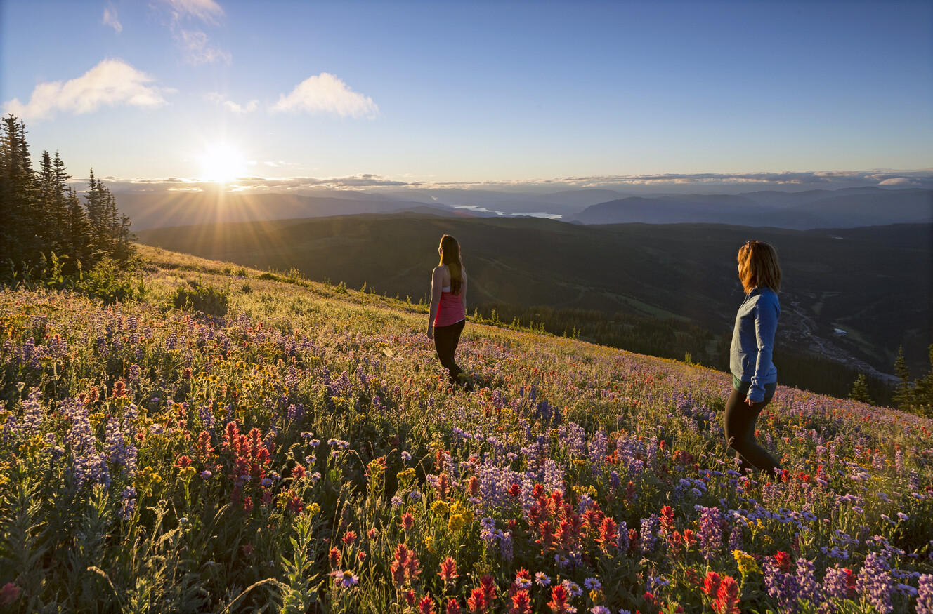Sun Peaks Hiking