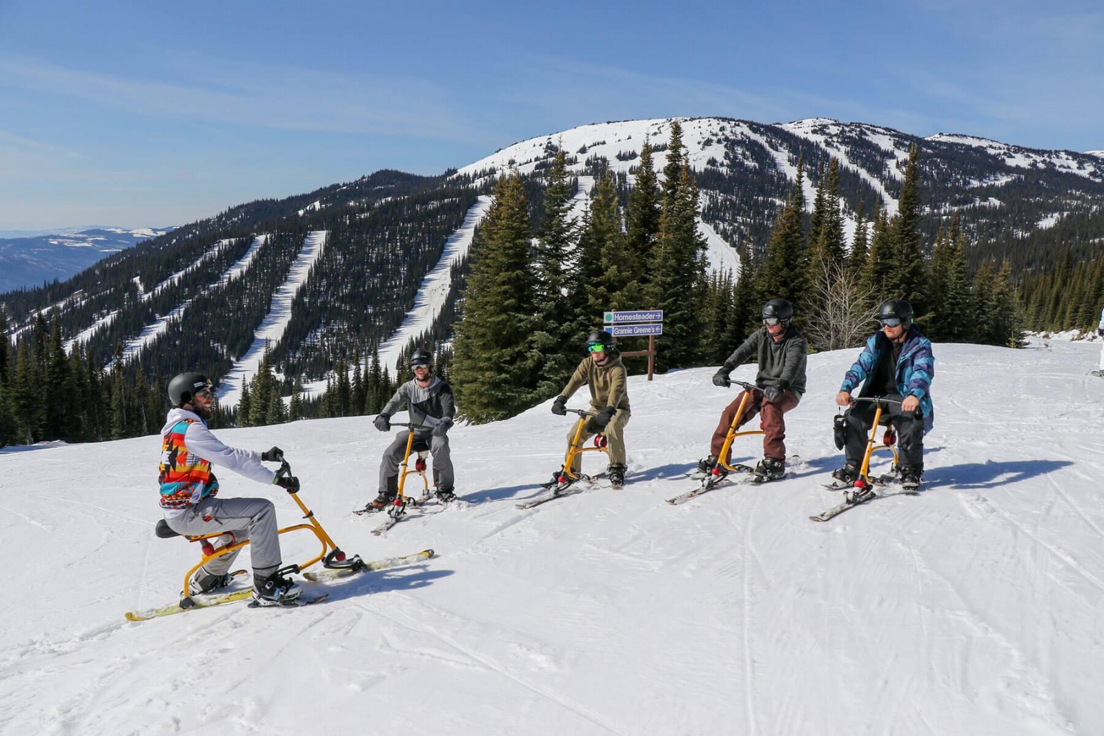 Ski Biking Snow Bike
