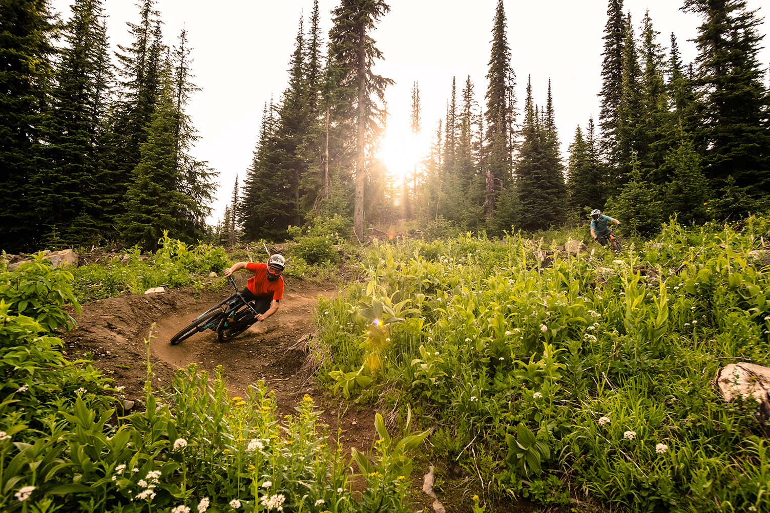 Downhill Mountain Biking Sun Peaks Resort