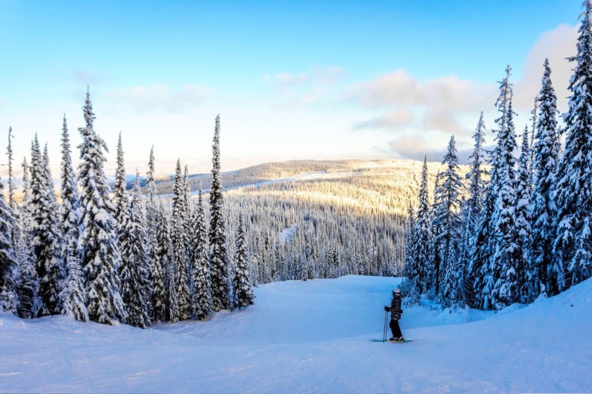 skier and mountains