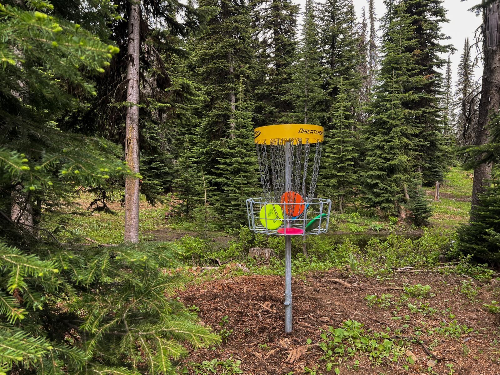 Disc Golf