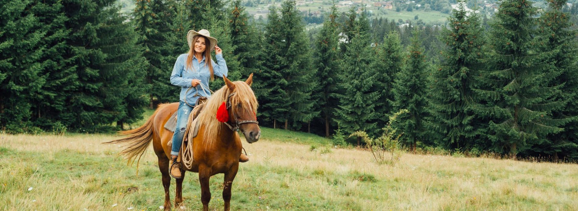 Experience Horseback Riding at Sun Peaks Stables Feature Image