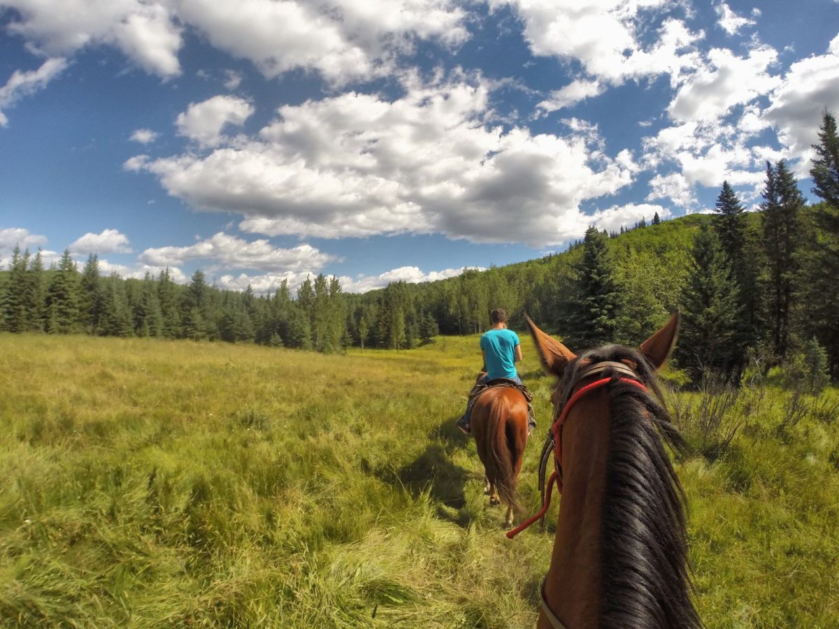horse ride in sun peaks