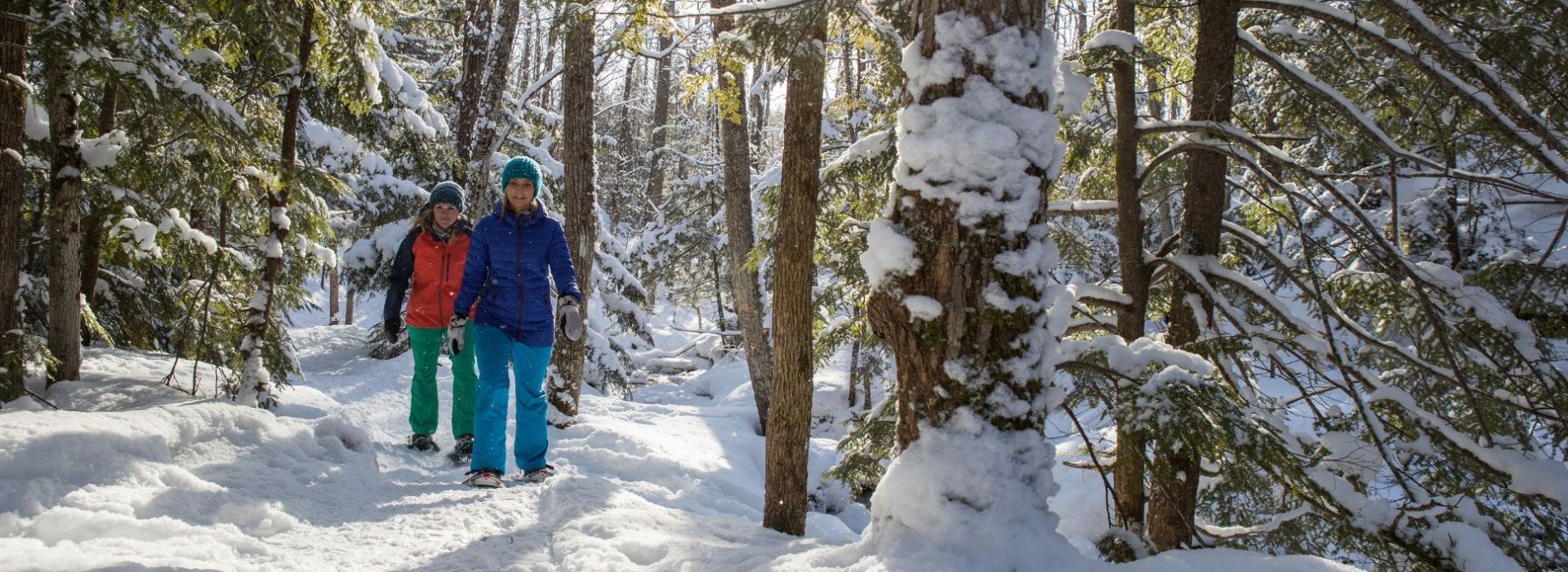 snowshoeing in the forest