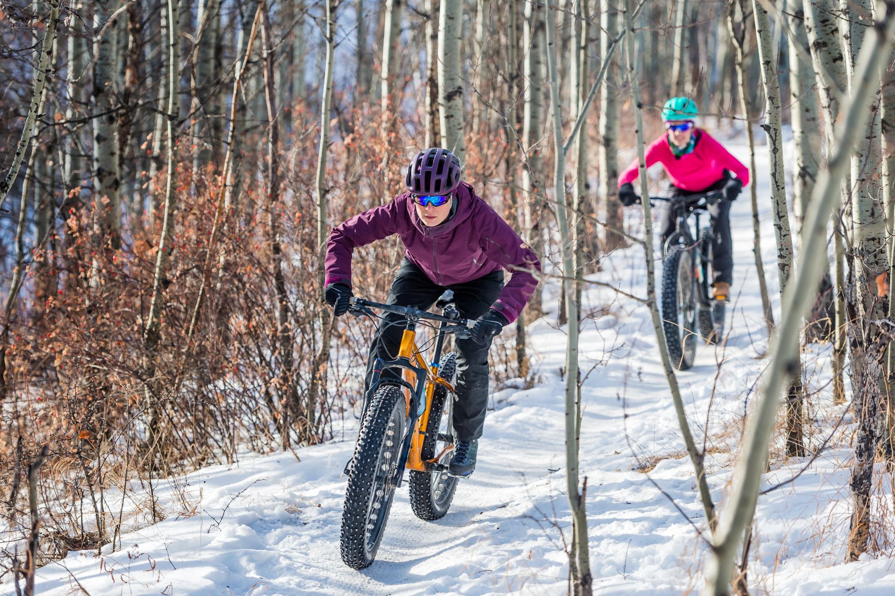 fat-biking in snowy forest