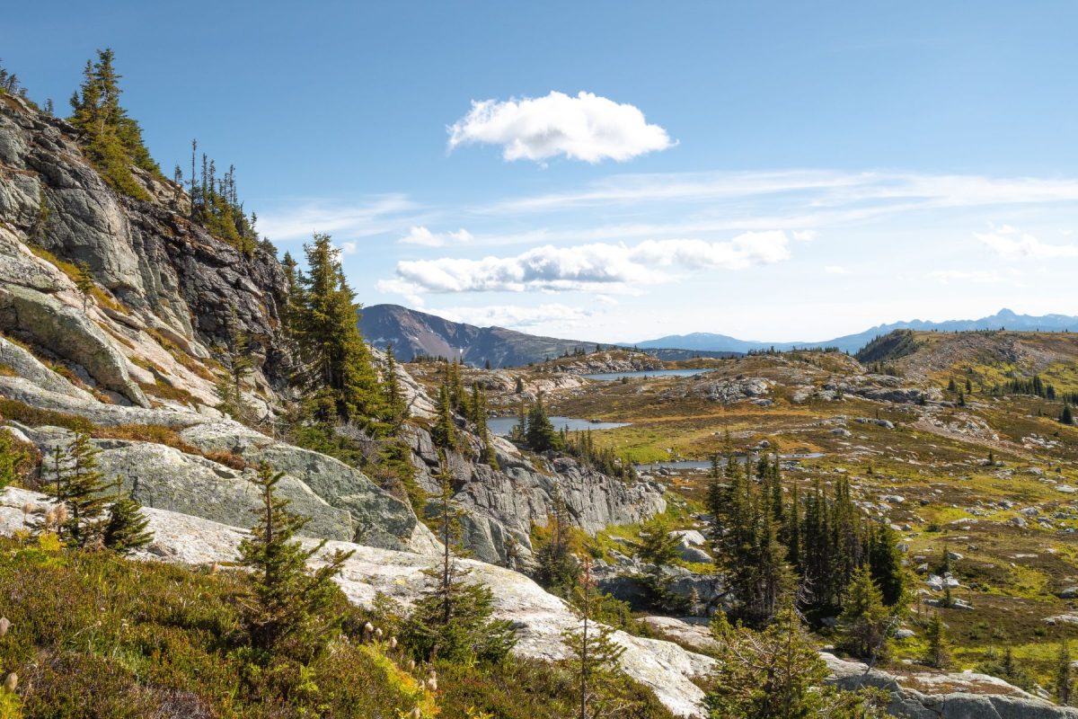 mountain, trees, sky, and far off lake at Wells Grey Park
