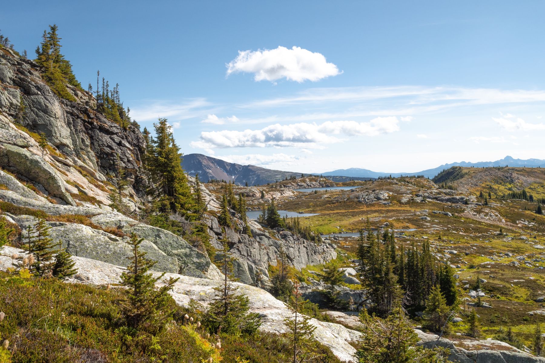 mountain, trees, sky, and far off lake at Wells Grey Park