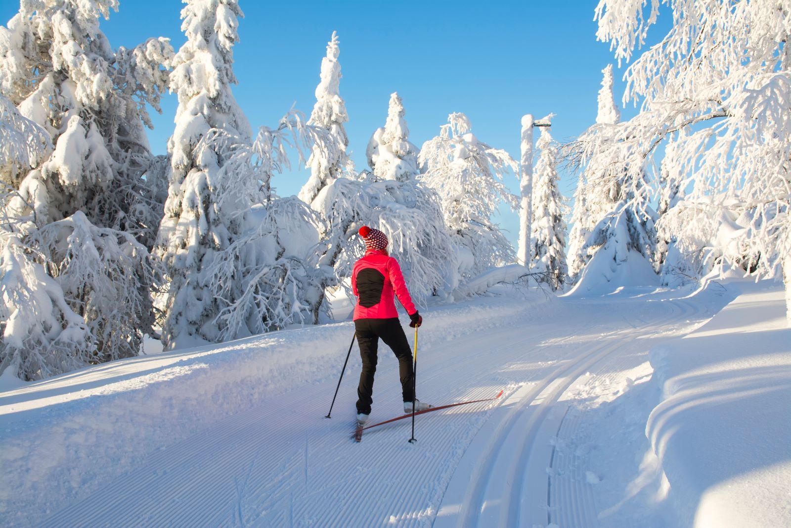 woman nordic skiing