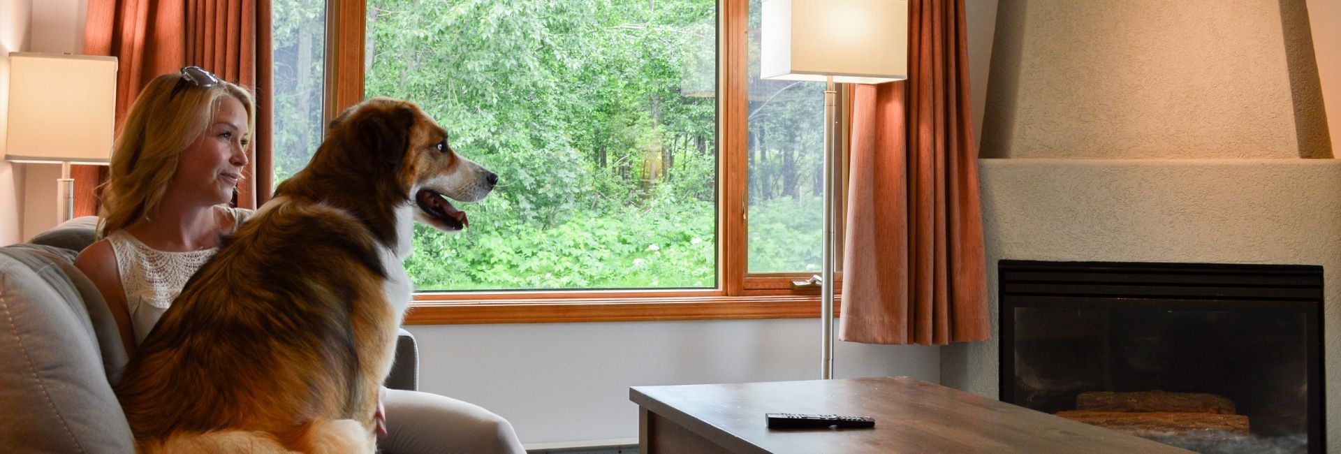 Bear Country Property Management (2018) Ltd.