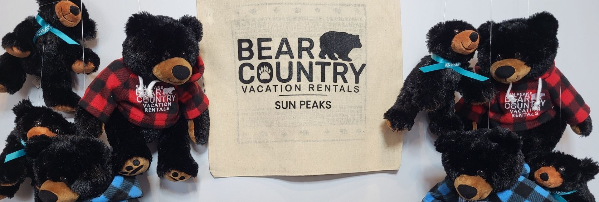 Bear Country Property Management (2018) Ltd.