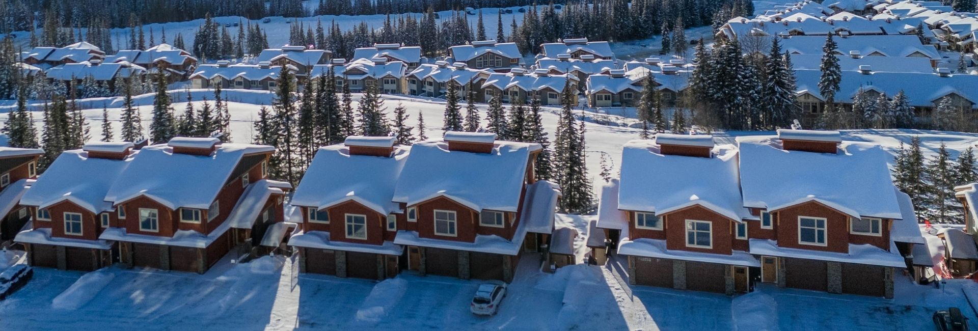 Bear Country Property Management (2018) Ltd.