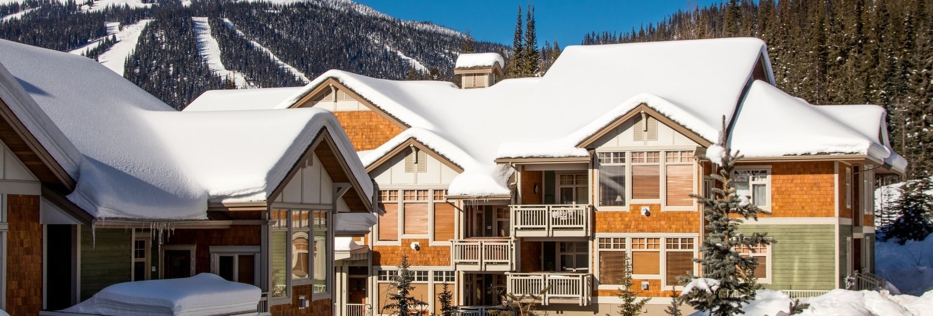 Bear Country Property Management (2018) Ltd.