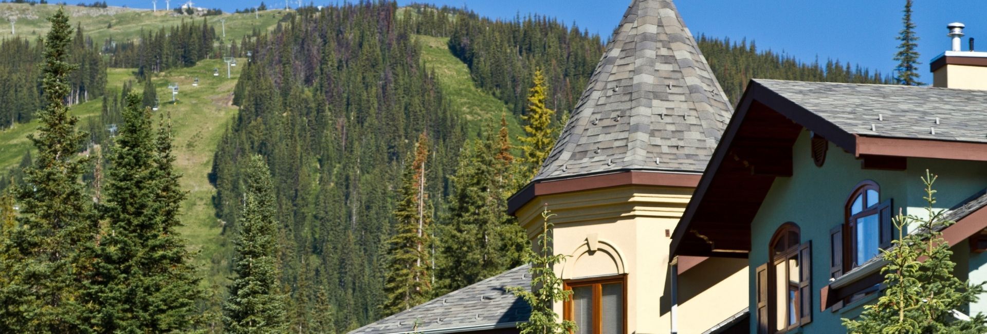 Bear Country Property Management (2018) Ltd.