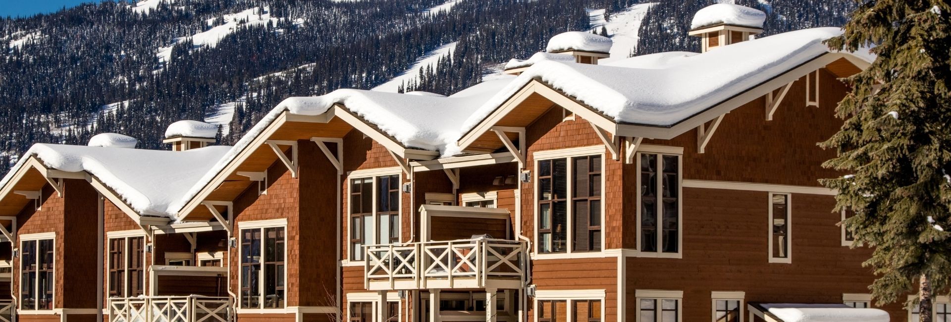 Bear Country Property Management (2018) Ltd.